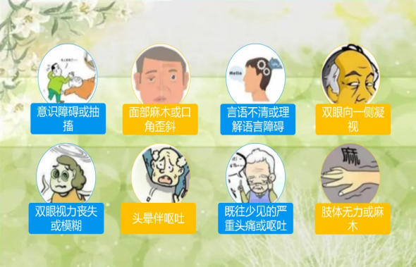 【健康科普】世界脑卒中日——“氧”出健康，高压氧助力卒中康复 ​