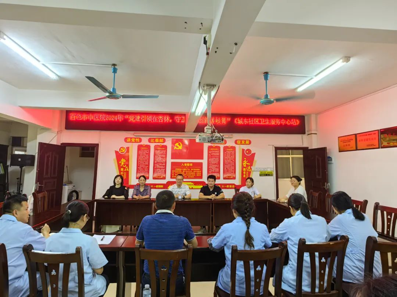 【党建引领】百色市中医医院开展“党建引领在杏林，守正创新传岐黄”活动（城东社区站、龙景社区站、永乐卫生院站）