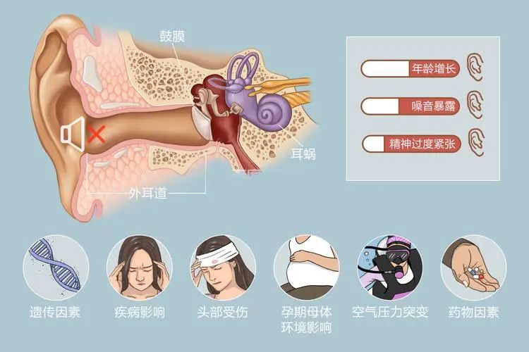 【健康科普】爱耳日必看！中医教你打响听力保卫战