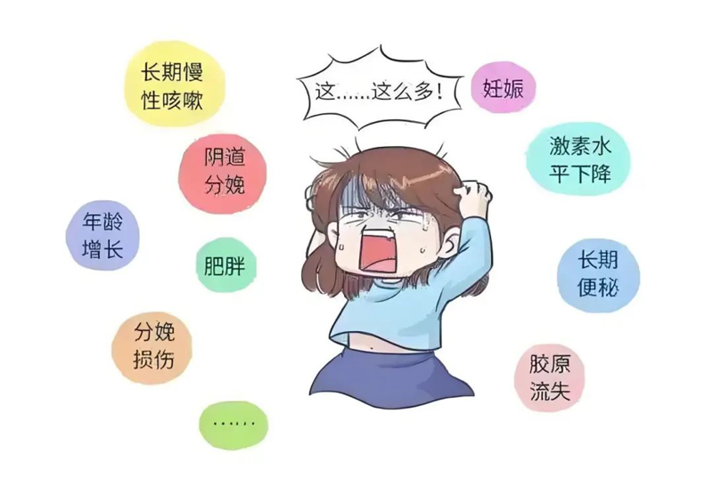 2cd5ee8c-5369-45f0-97a6-b8d37198b4d4.jpg