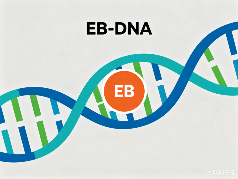 【健康科普】医师告诉您:EB-DNA检测到底查的是什么?